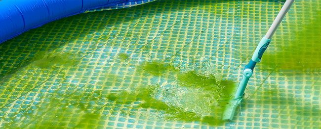 Verfaerbung-Poolfolie-blog-poolplatz algen im pool, grüne verfärbung der poolfolie