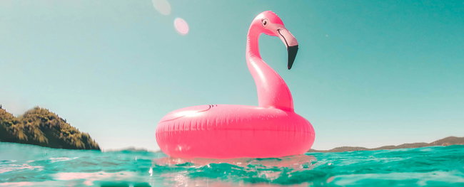 poolplatz.de-blog-welche-poolarten-gibt-es aufblastier flammingo
